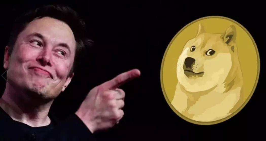 Doge coin
